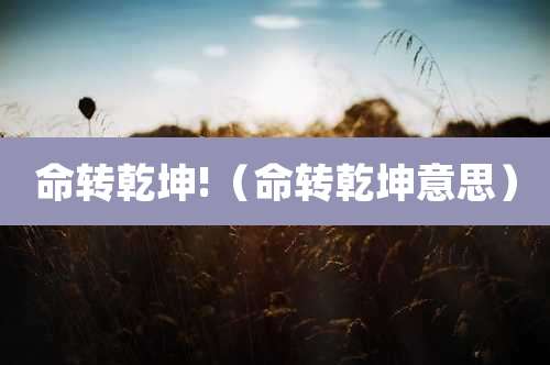 命转乾坤!（命转乾坤意思）