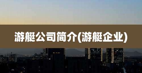 游艇公司简介(游艇企业)
