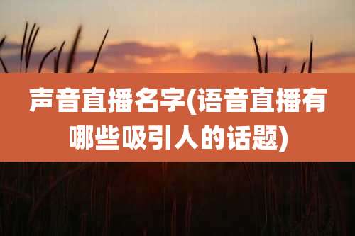 声音直播名字(语音直播有哪些吸引人的话题)