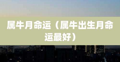属牛月命运（属牛出生月命运最好）