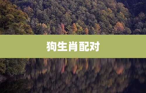 狗生肖配对
