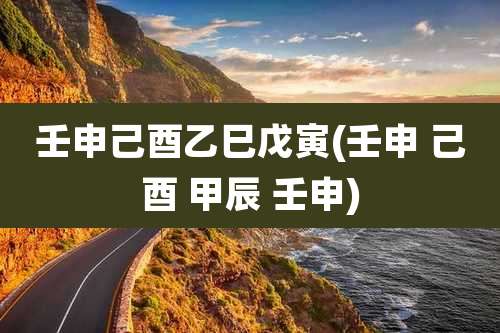 壬申己酉乙巳戊寅(壬申 己酉 甲辰 壬申)