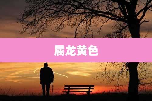属龙黄色