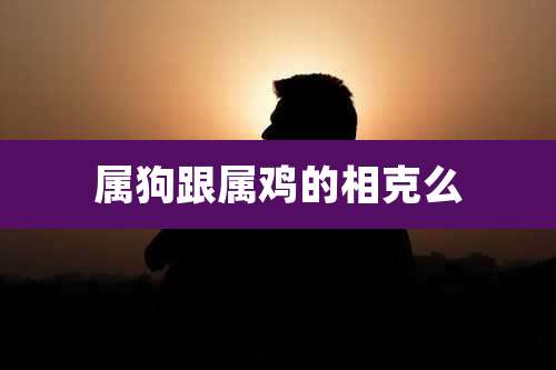 属狗跟属鸡的相克么