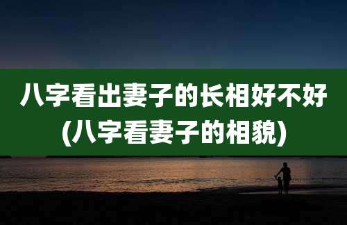 八字看出妻子的长相好不好(八字看妻子的相貌)