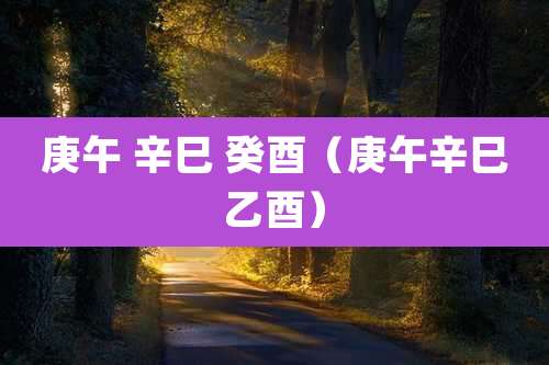 庚午 辛巳 癸酉（庚午辛巳乙酉）