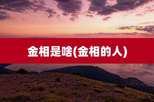 金相是啥(金相的人)