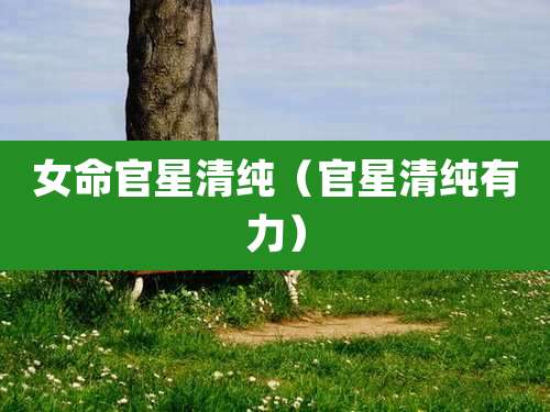 女命官星清纯（官星清纯有力）