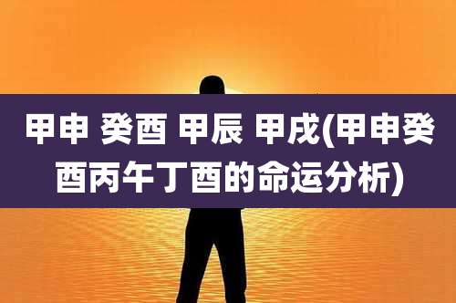 甲申 癸酉 甲辰 甲戌(甲申癸酉丙午丁酉的命运分析)