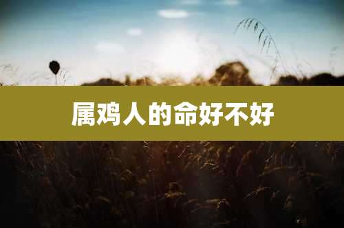 属鸡人的命好不好