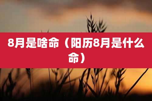 8月是啥命（阳历8月是什么命）
