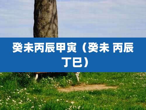 癸未丙辰甲寅（癸未 丙辰 丁巳）