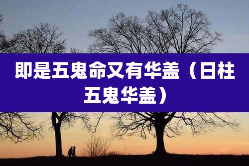 即是五鬼命又有华盖（日柱五鬼华盖）