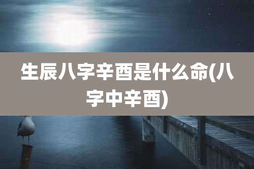生辰八字辛酉是什么命(八字中辛酉)
