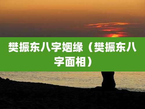 樊振东八字姻缘（樊振东八字面相）