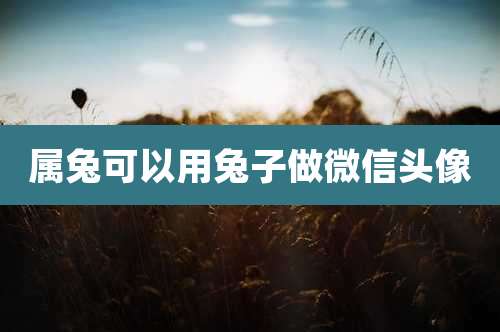 属兔可以用兔子做微信头像