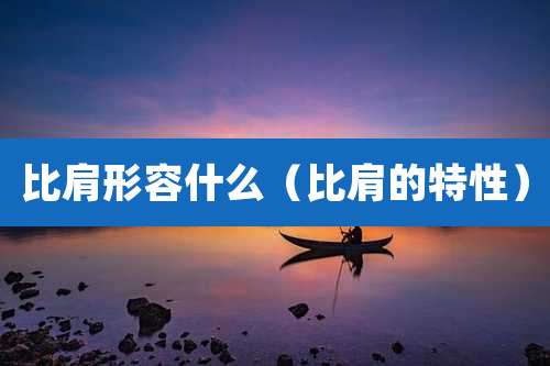 比肩形容什么（比肩的特性）