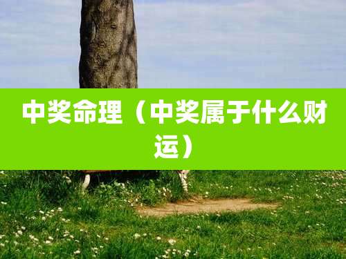 中奖命理（中奖属于什么财运）