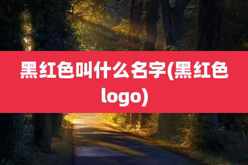 黑红色叫什么名字(黑红色logo)