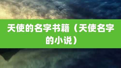天使的名字书籍(天使名字的小说)