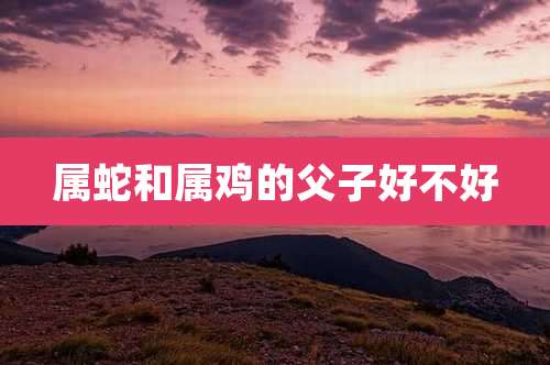 属蛇和属鸡的父子好不好