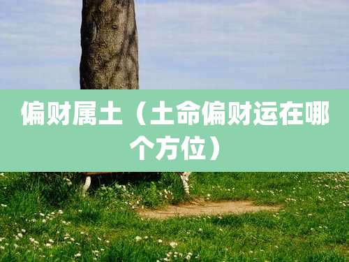 偏财属土（土命偏财运在哪个方位）