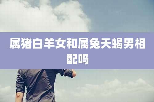 属猪白羊女和属兔天蝎男相配吗