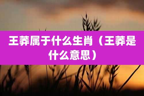 王莽属于什么生肖（王莽是什么意思）