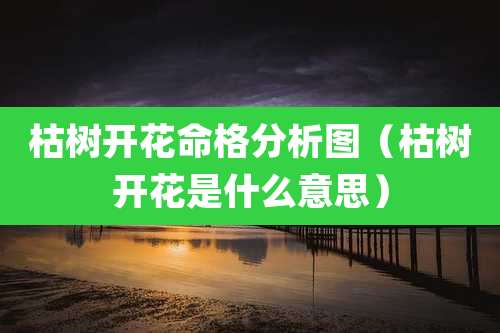 枯树开花命格分析图（枯树开花是什么意思）