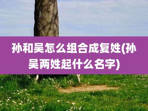 孙和吴怎么组合成复姓(孙吴两姓起什么名字)