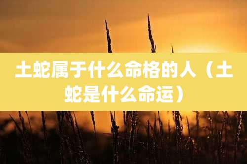 土蛇属于什么命格的人（土蛇是什么命运）