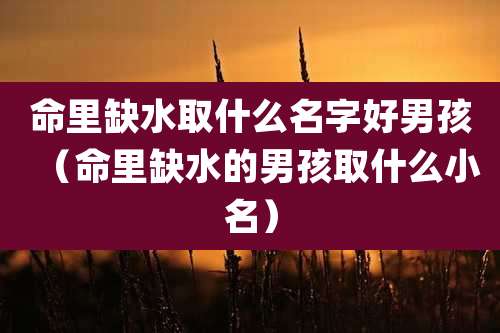命里缺水取什么名字好男孩（命里缺水的男孩取什么小名）