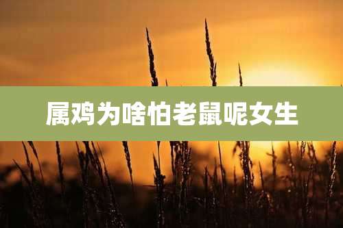 属鸡为啥怕老鼠呢女生