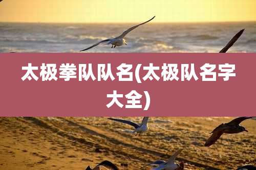 太极拳队队名(太极队名字大全)