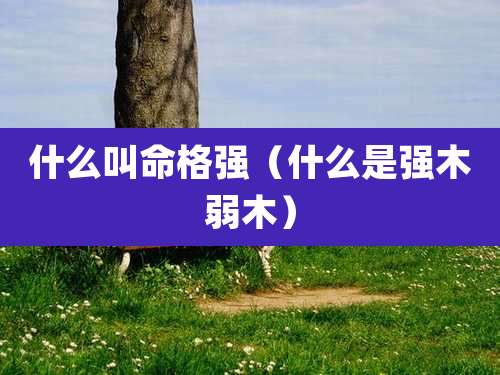 什么叫命格强（什么是强木弱木）