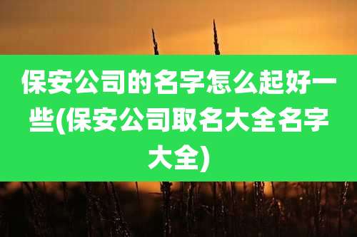 保安公司的名字怎么起好一些(保安公司取名大全名字大全)