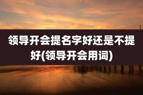 领导开会提名字好还是不提好(领导开会用词)