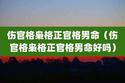 伤官格枭格正官格男命（伤官格枭格正官格男命好吗）