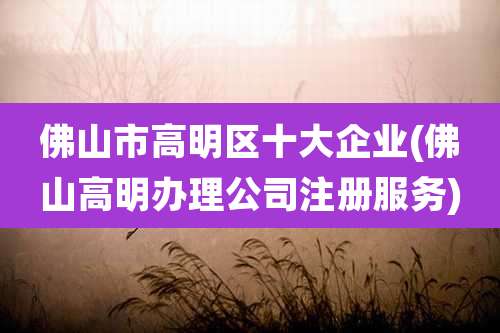 佛山市高明区十大企业(佛山高明办理公司注册服务)