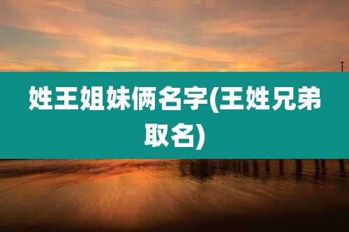 姓王姐妹俩名字(王姓兄弟取名)