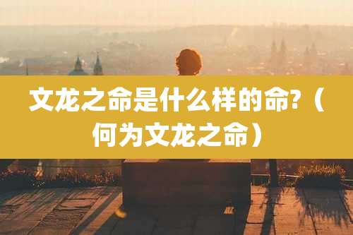 文龙之命是什么样的命?（何为文龙之命）