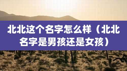 北北这个名字怎么样（北北名字是男孩还是女孩）