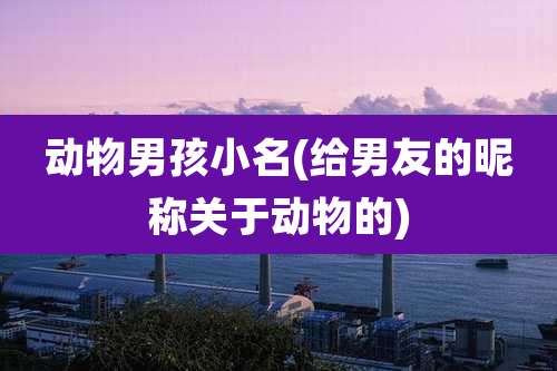 动物男孩小名(给男友的昵称关于动物的)