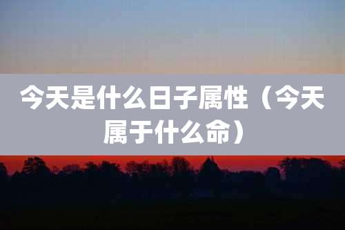今天是什么日子属性（今天属于什么命）