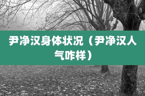 尹净汉身体状况（尹净汉人气咋样）