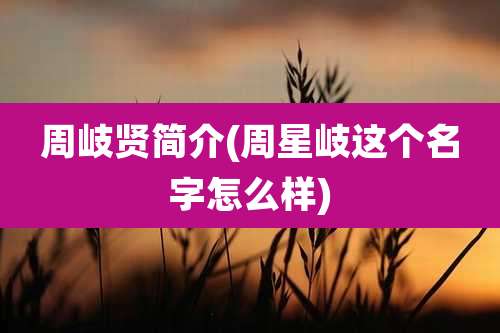 周岐贤简介(周星岐这个名字怎么样)