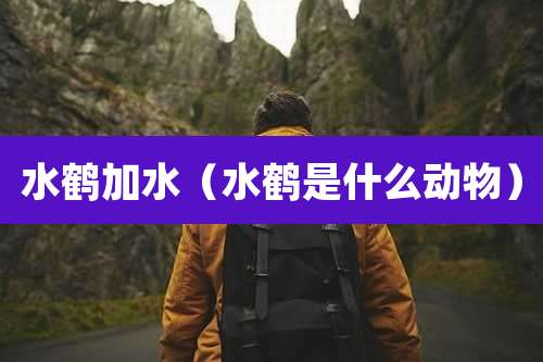 水鹤加水（水鹤是什么动物）