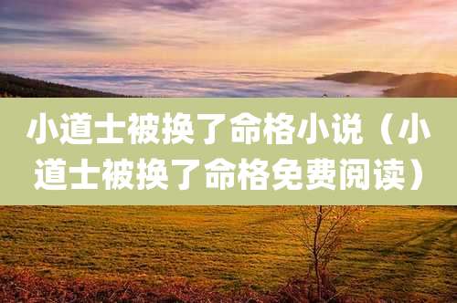 小道士被换了命格小说（小道士被换了命格免费阅读）