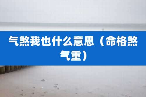 气煞我也什么意思（命格煞气重）