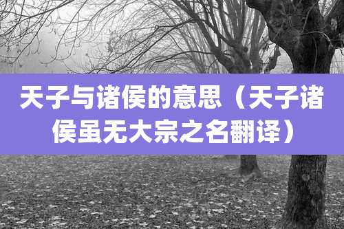 天子与诸侯的意思（天子诸侯虽无大宗之名翻译）